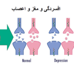 افسردگی و مغز و اعصاب